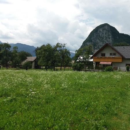 Apartmaji Bremec Bohinj Dış mekan fotoğraf