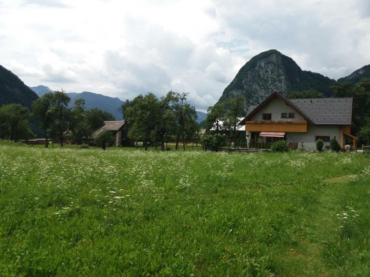 Apartmaji Bremec Bohinj Dış mekan fotoğraf